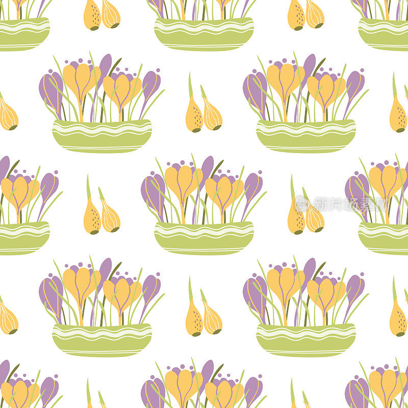 Spring planting flowers seamless pattern Illustration pots crocuses leaves flowers bulbs Planting background
